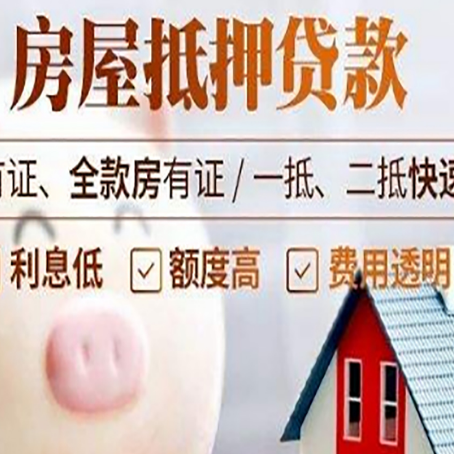 洋浦经济开发区贷款助贷公司新渝启服成立时间久